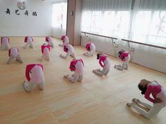 -舞艺舞蹈文化艺术培训中心