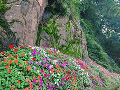 -重庆平顶山公园