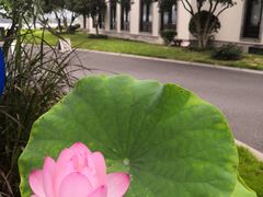 -杭州西湖柳莺里酒店