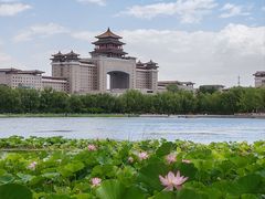 -莲花池公园