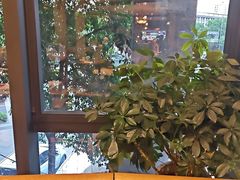 -大海湾酒楼(人南店)