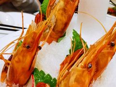 熟醉罗氏虾-人间采蜜(海信广场店)