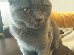 -共舞时光猫咖·狗咖(新街口店)