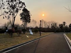 -成都安仁福朋喜来登酒店