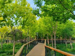 -东郊湿地公园