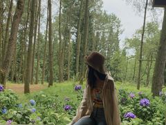 -重庆雨台山风景区