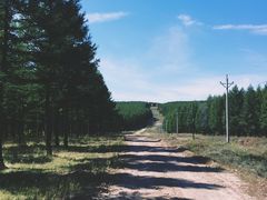 -塞罕坝国家级自然保护区