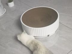 -pd派德宠物中心医院24H急重症·眼科中心·血液透析中心(嵩山北路店)