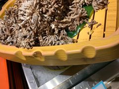 -蓝钻·国际美食海鲜自助百汇(西直门店)