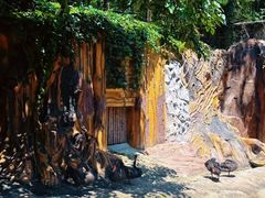 -燕塞湖鸟语林景区
