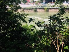 -成都市活水公园