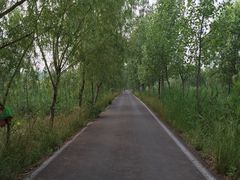 -微山湖红荷湿地景区