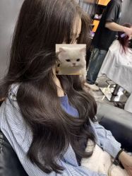 -藤野造型烫染