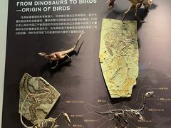 -浙江自然博物院(杭州馆)