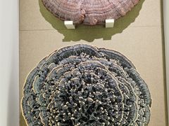 -北京中医药大学-中医药博物馆
