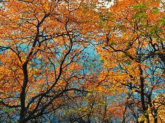 -秦岭终南山世界地质公园翠华山景区