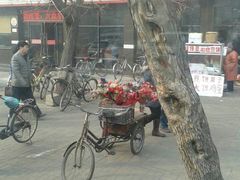 -苏闽菜馆(鞍山道店)