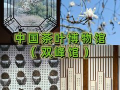 -中国茶叶博物馆(双峰馆区)