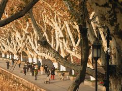 -北山街历史文化街区