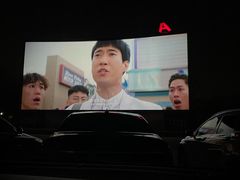-枫花园汽车电影院(朝阳公园店)