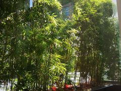 -君悦酒店·1881·北京烤鸭