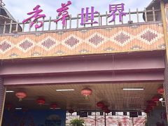 -广东花都香草世界旅游度假区