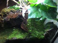 -Rabbit Cafe私房西餐甜点咖啡(栖霞路店)