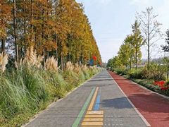 -前小桔亲子创意农场·草莓采摘·露营烧烤