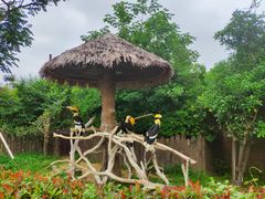 -上海野生动物园