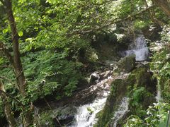 -藏龙百瀑风景区