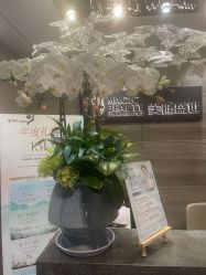 -美健盛世·美容SPA连锁