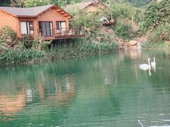 -杭州开元森泊度假乐园