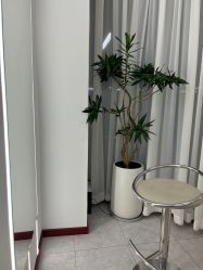 -DR·Z 科技护肤中心