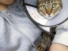 -博特宠物医院24h犬猫全科.骨科·异宠