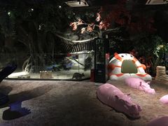 -zoonana室内动物园(东方福来德店)
