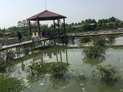 -成都美盈都市现代农业示范园