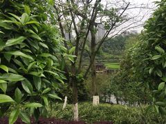-龙头寺公园