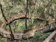 -大岭沟猕猴桃谷风景区