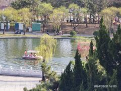 -莱西月湖公园