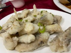 椒盐九肚鱼-蛇口康乐快餐鱼仔档(翠苑小区店)