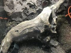 -易生活购物公园