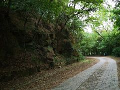 -上海佘山国家森林公园西佘山园