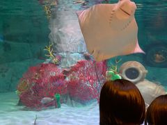 -沈阳海洋探索中心