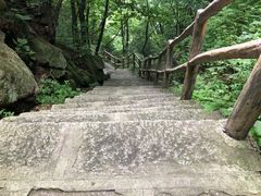 -老界岭旅游度假区