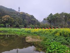 -广州市石门国家森林公园