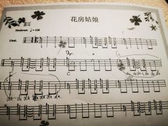 -大象音乐·吉他·架子鼓·声乐(双井店)