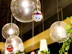 店内布置-柴务处·柴犬主题狗咖