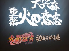 -火影忍者动画多媒体展