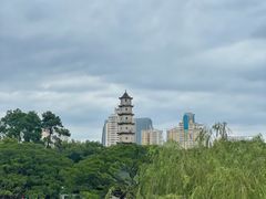 -江心屿景区