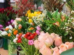 -北马山庄植趣咖啡